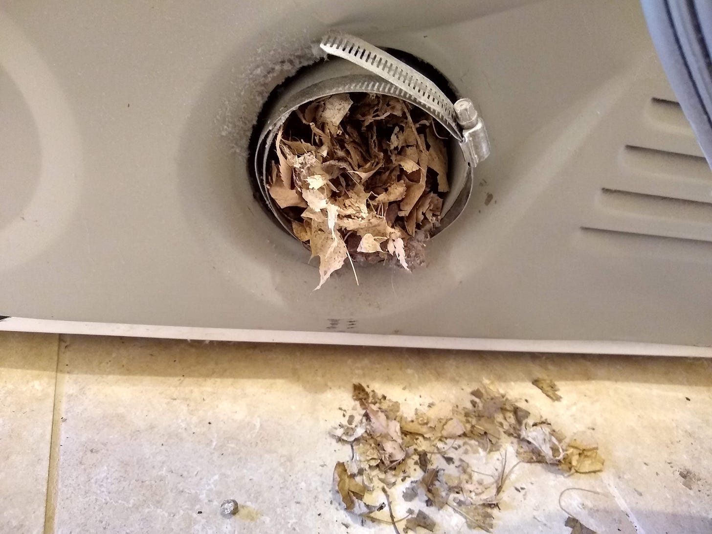 dryer vent clogged with leaves
