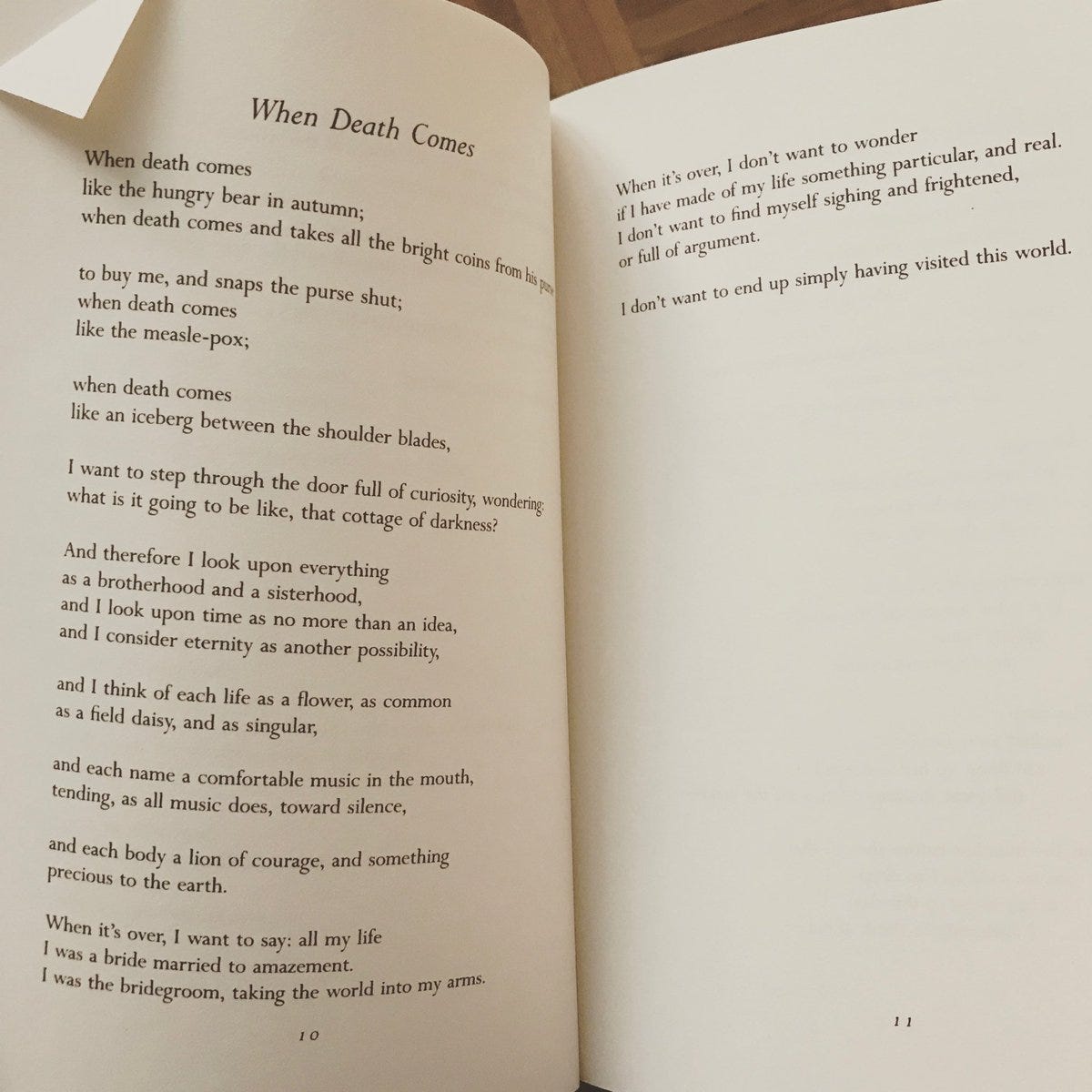 Thread by @tiffanycli: "“The Summer Day” is one of Mary Oliver's most  famous poems, particularly the last line. “Tell me, what is it you plan to  do / with your one […]"