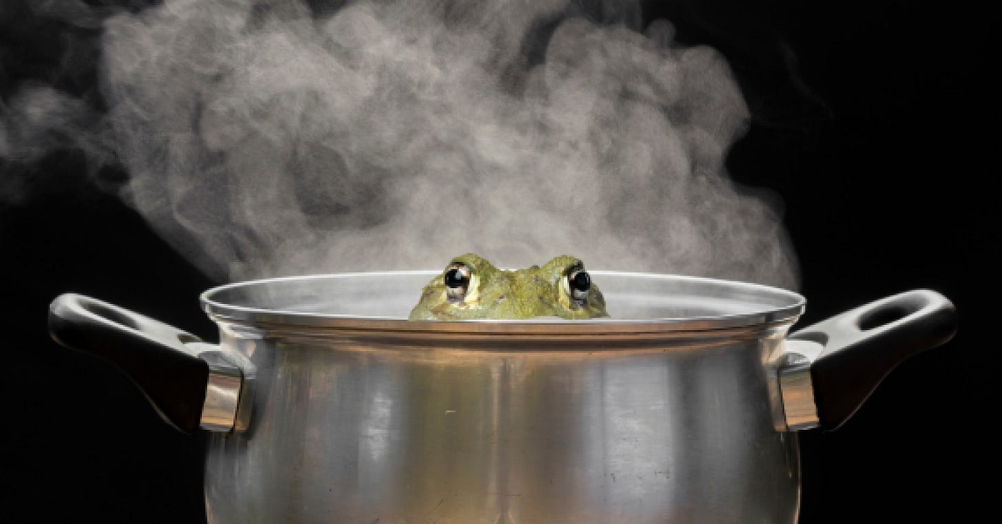 The Boiling Frog Syndrome: A Metaphor for Burnout | Psychology Today