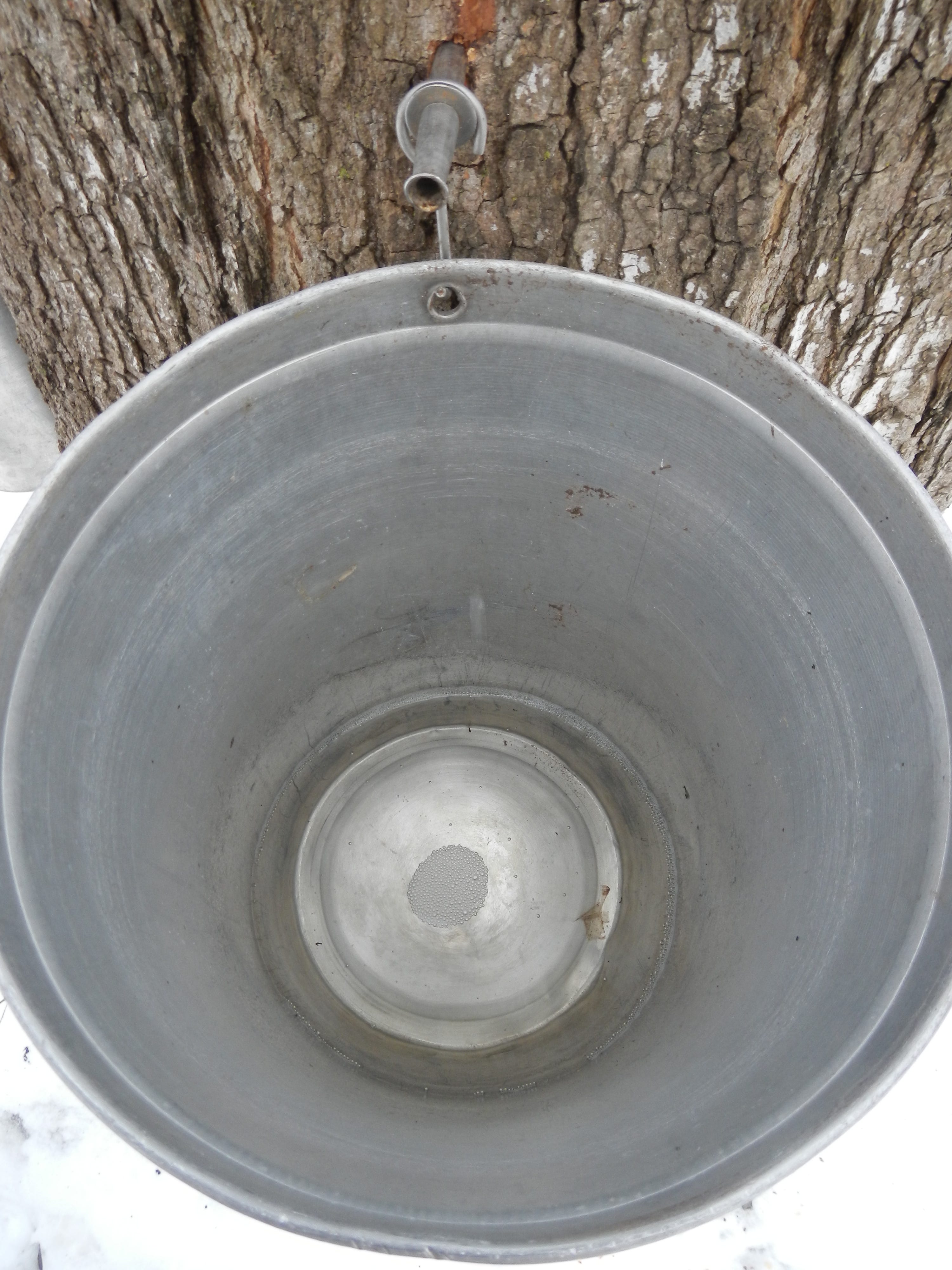 Sap Collecting Job Description - by John Newell