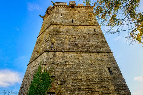 Aubespin tower and Saint-Louis tower