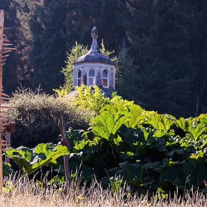 Tip of Orangery over bog garden at Mamhead Park