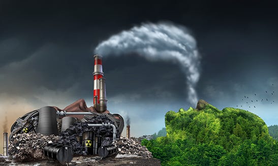 Environmental Toxins