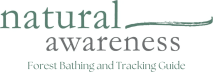 Natural Awareness Newsletter