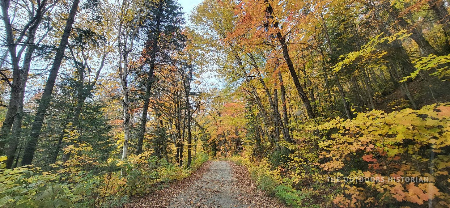 A narrow, dirt two-track road cutting through a brilliant canopy of yellow, gold, and orange autumn leaves.
