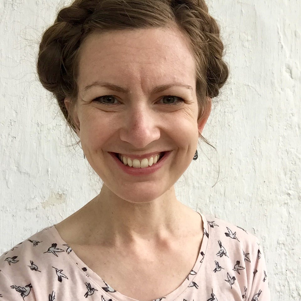 the Dear Friend Letters by Alison L Bradley