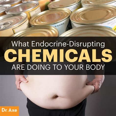 How Endocrine Disruptors Destroy Your Body - Dr. Axe