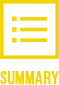 summary summary