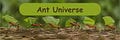 Ant Universe