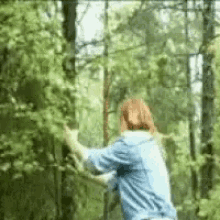Shaking Trees GIFs | Tenor
