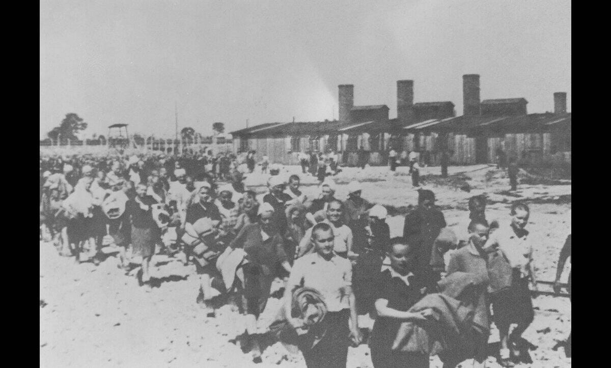 Conditions inside Auschwitz-Birkenau from 1942 – The Holocaust Explained: Designed for schools Conditions inside Auschwitz-Birkenau from 1942 – The Holocaust Explained: Designed for schools