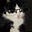 leti's avatar