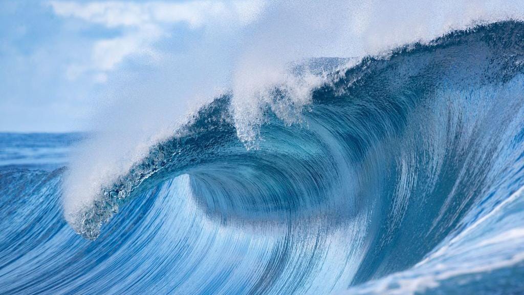 a cresting wave in the sea.