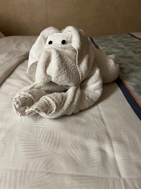 pictures of towel animals from a carnival cruise