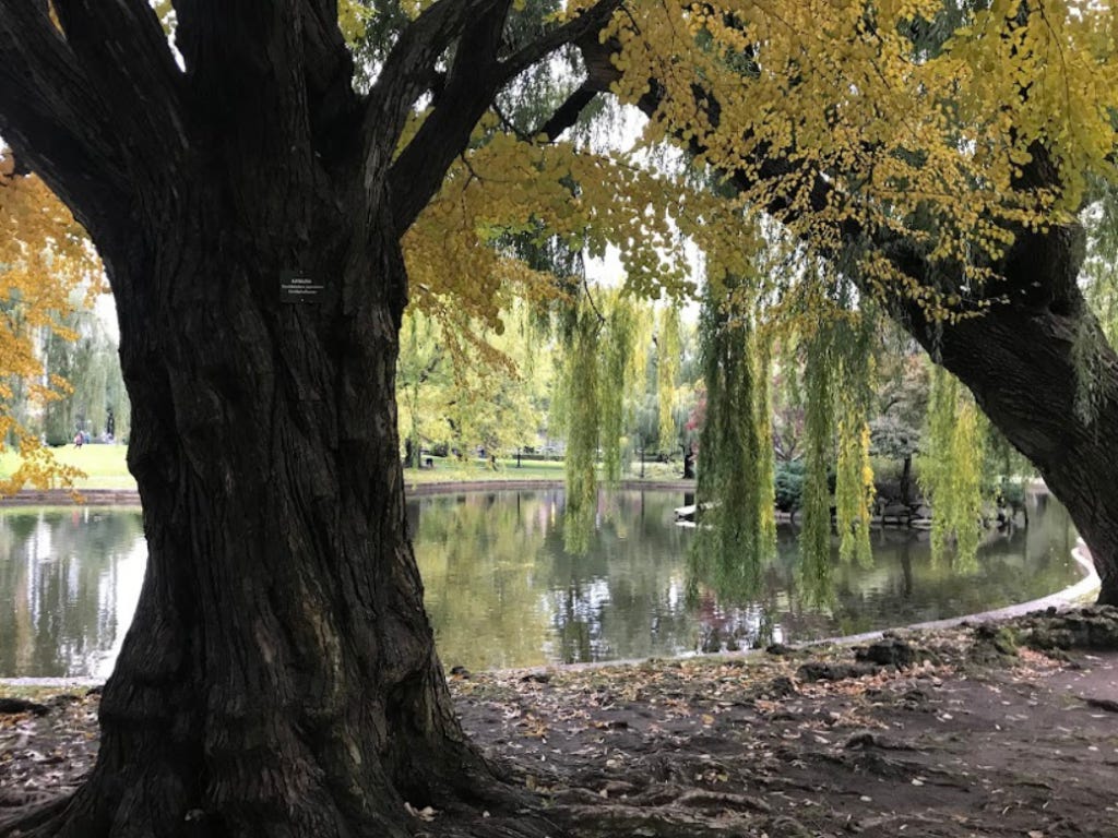 5 Unusual Places in the U.S. to See Leaves Change This Fall