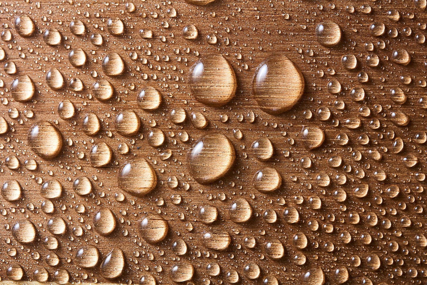 abstract photo of water droplets
