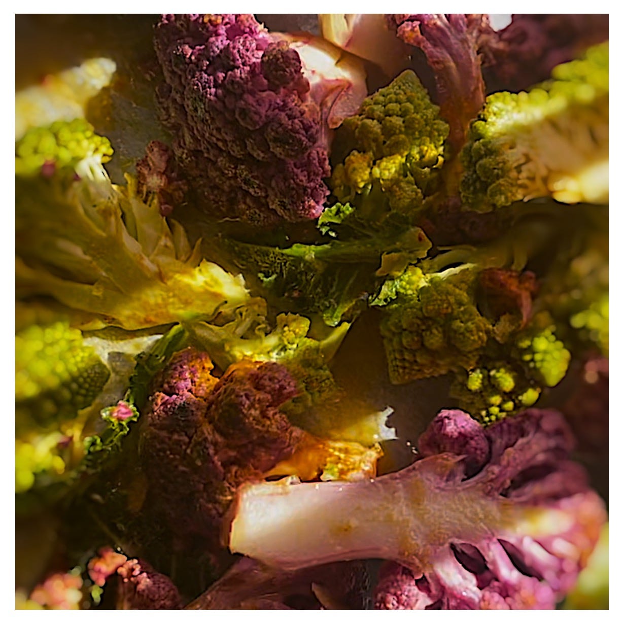 Arial close up photograph of purple and green cauliflower in a roasting tray