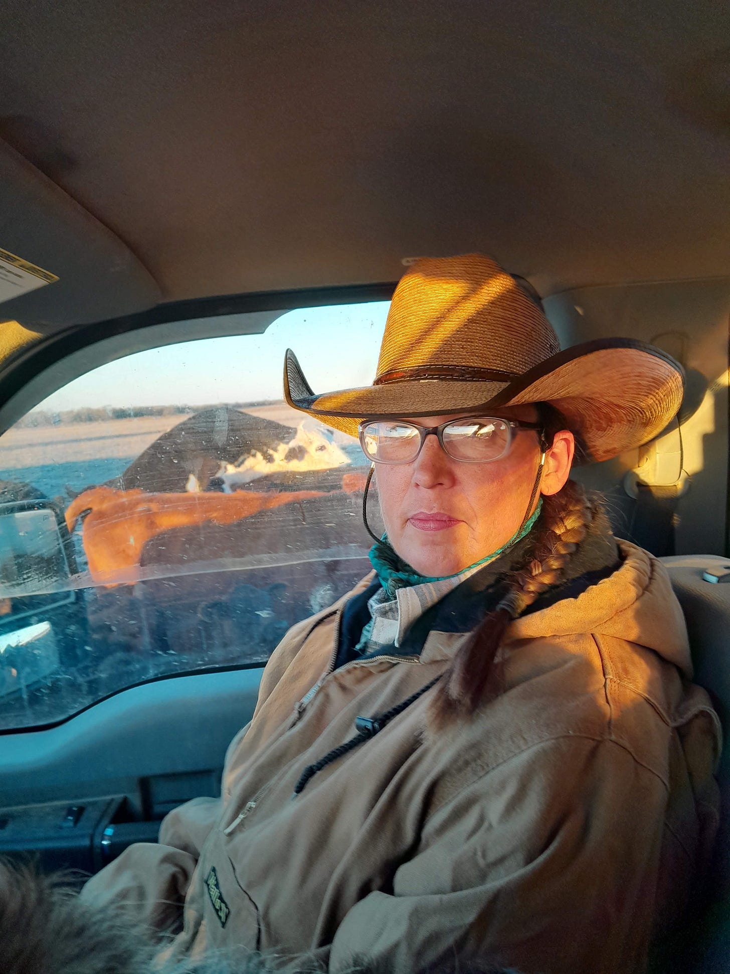 Feeding cows and breaking water Dec. 2022