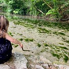 Field Notes from the Natural Learning Path — May 2026