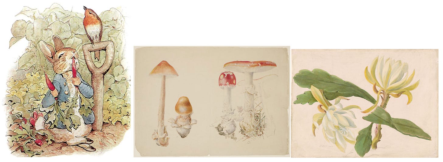 A group of mushrooms with leaves

AI-generated content may be incorrect.