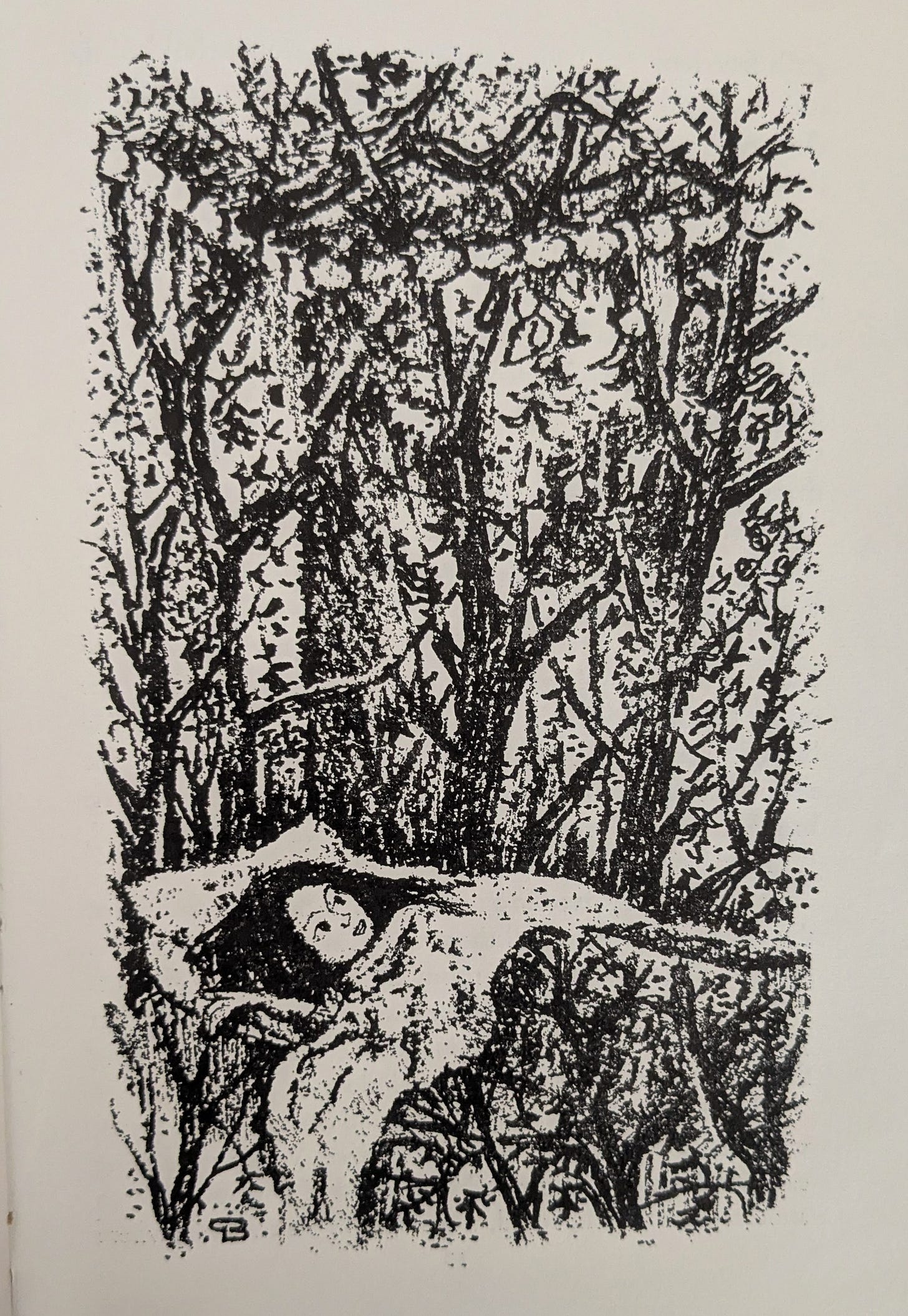 Peter Boston illustration from Nothing Said by Lucy Boston
