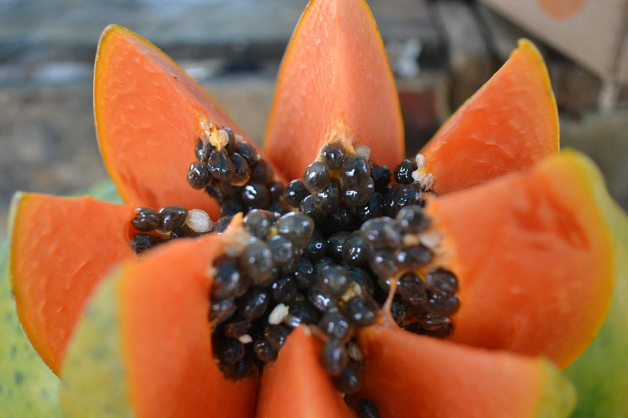 Free Papaya Market photo and picture Free Papaya Market photo and picture