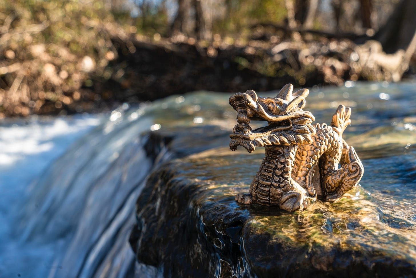 [Dragon Photo by Ryan Moulton on Unsplash]