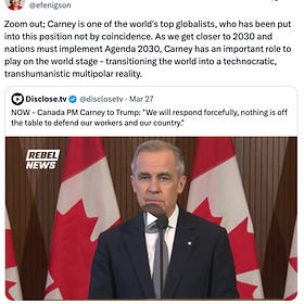 You're The Voice Newsletter!