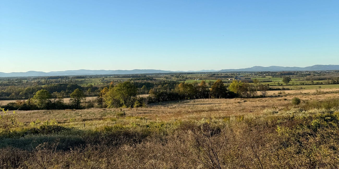 Where is the DEC? NYS has shut its own environmental body out of solar projects