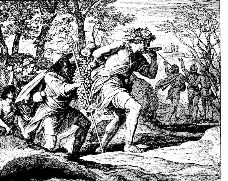 Parashat Shelah: On Decision Making, Responsibility, and Maturity |  Sephardic U