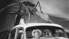 a man in a cowboy hat is driving a car while a giant mosquito is sitting on top of it . a man in a cowboy hat is driving a car while a giant mosquito is sitting on top of it .