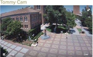 Tommy Cam