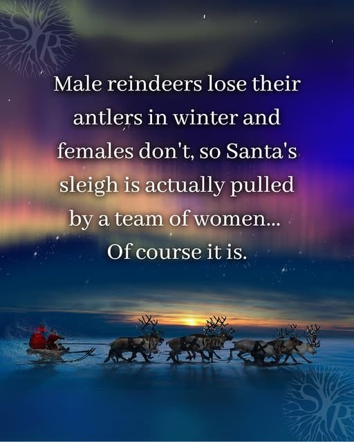 May be an image of 1 person and text