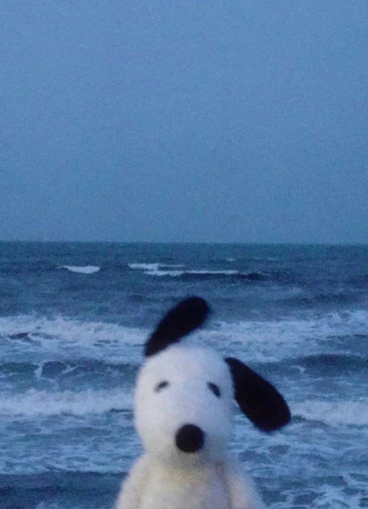 Story pin image Story pin image