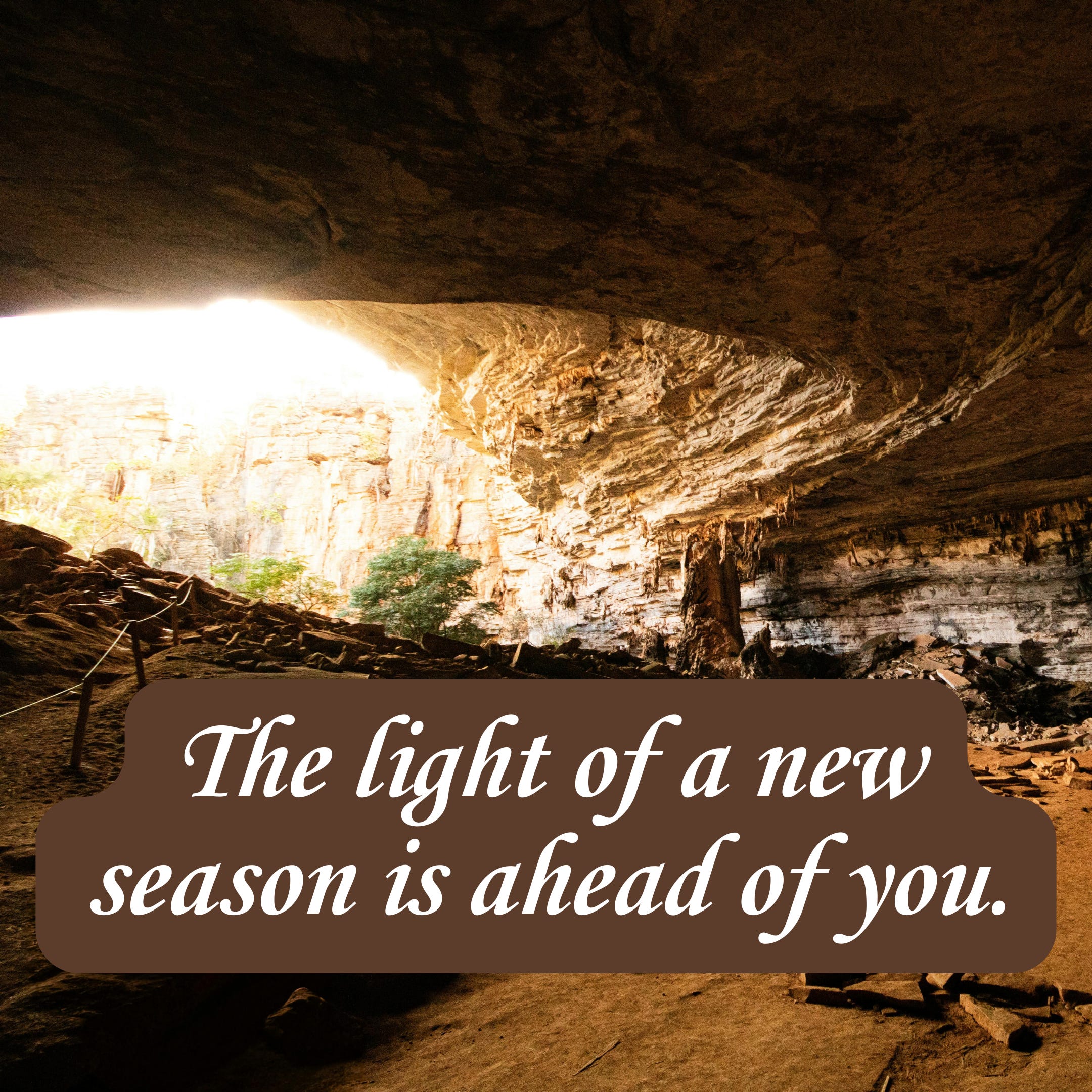 Sub Devotion Prayer for New Season 452 - Daily Devotional For Women