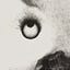 Picking the best-written books's avatar
