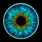 HUMAN [R]EVOLUTION's avatar