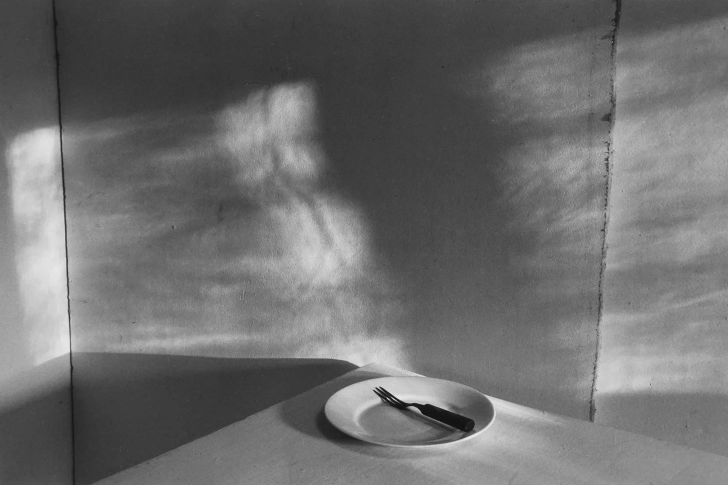 Lilo Raymond Revealing Light 洋書 Lilo Raymond Revealing Light