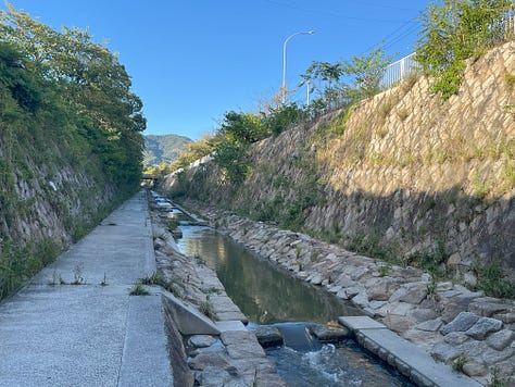 Three photos of a small river in a deep channel with stepping stones and undergrowth