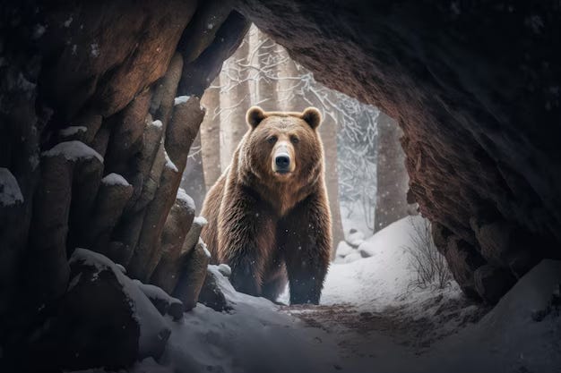 Hibernation Theory