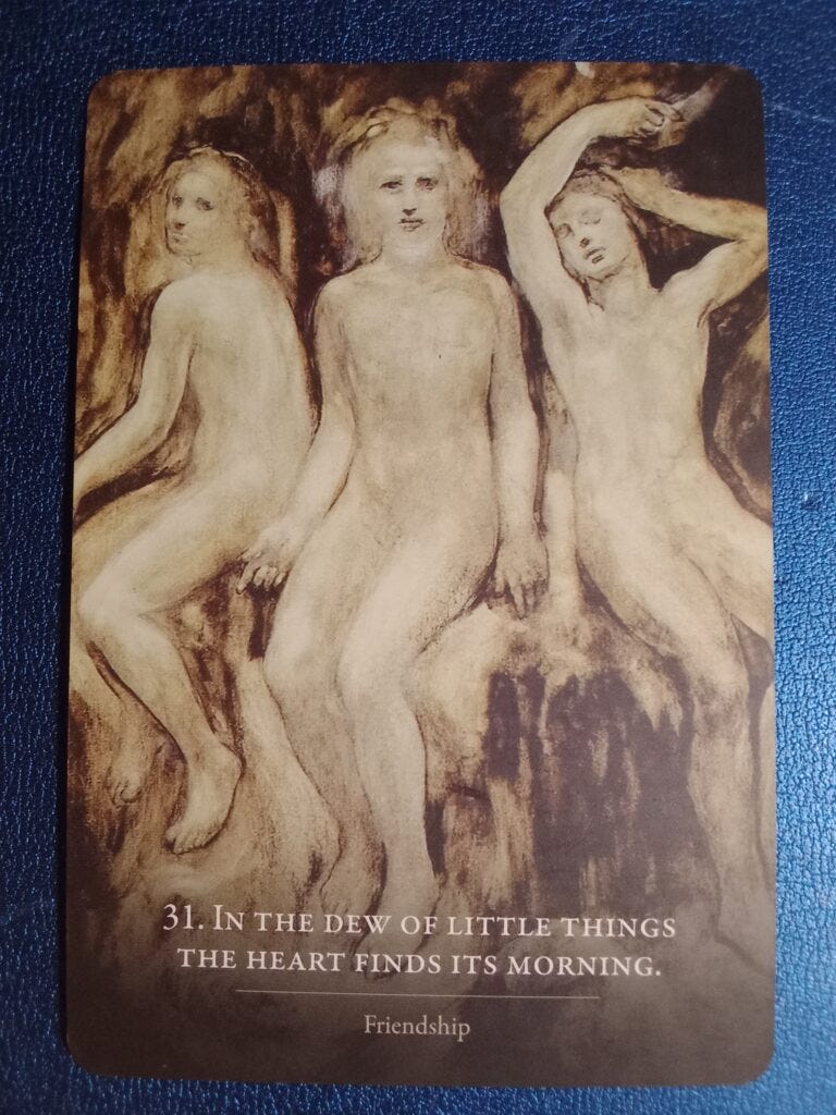 A Message from the Universe - In the Dew of Little Things