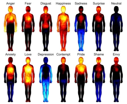 🩻 Emotions Are Mapped on the Human Body