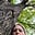 Jeanna B's avatar
