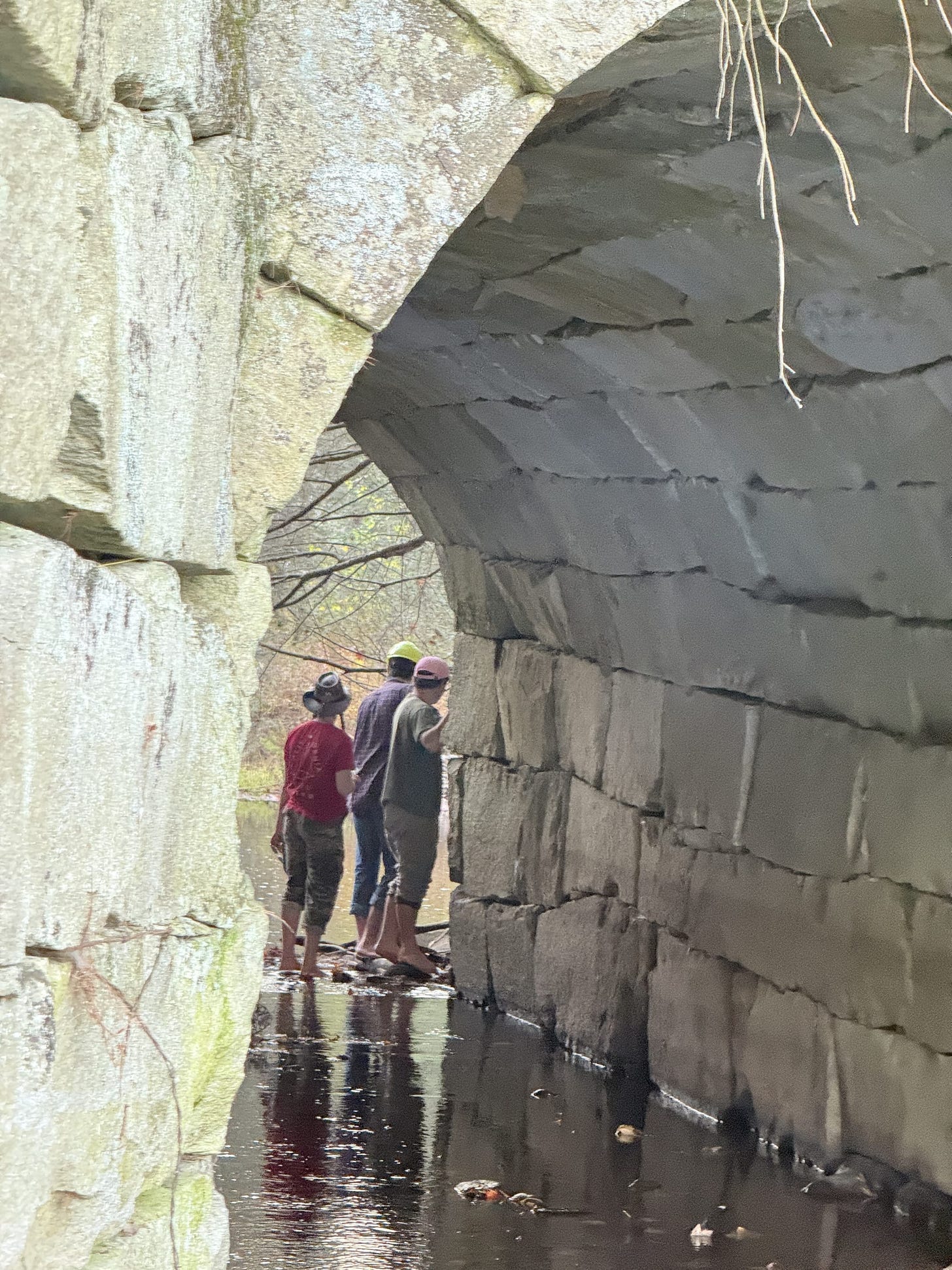 A Trek Along the Cocheco Railroad