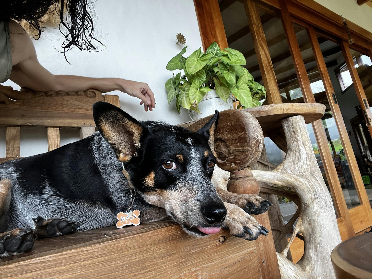 037: Loving What You Have, Having What You Love! 037: Loving What You Have, Having What You Love!