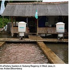 Why Agtech Unicorns Struggle to Stay Afloat 