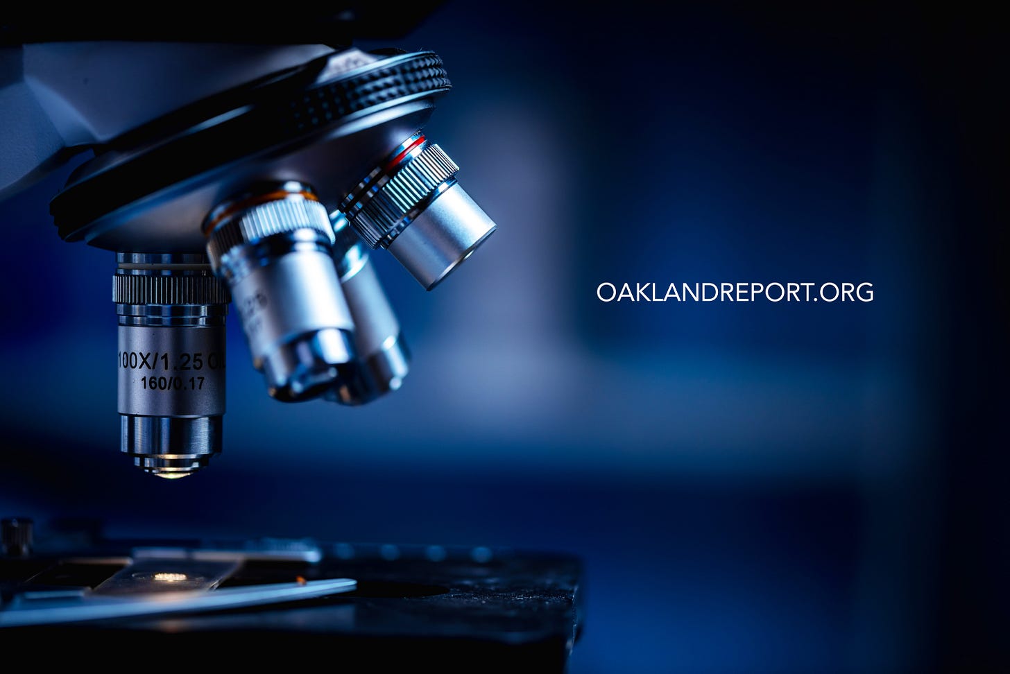 Microscope examining a slide for scientific analysis. (Image source: Oakland Report / Adobe Stock) Microscope examining a slide for scientific analysis. (Image source: Oakland Report / Adobe Stock)