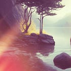 Video Course: Discover Your Ikiverse.