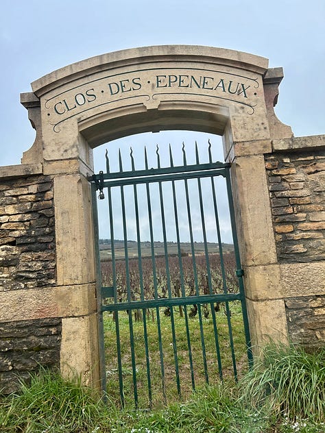Vineyards; pretty plates of food from French restaurants, a wine shop called "AvinTURES", the gates of several Burgundy climats/clos and a nod to the many Range Rovers in Beaune
