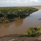 The Business of Cow Finale